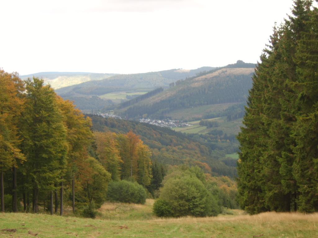 Haus Cristallo Olsberg Exteriér fotografie